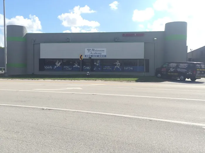 Millennium Martial Arts Academy Picture 2