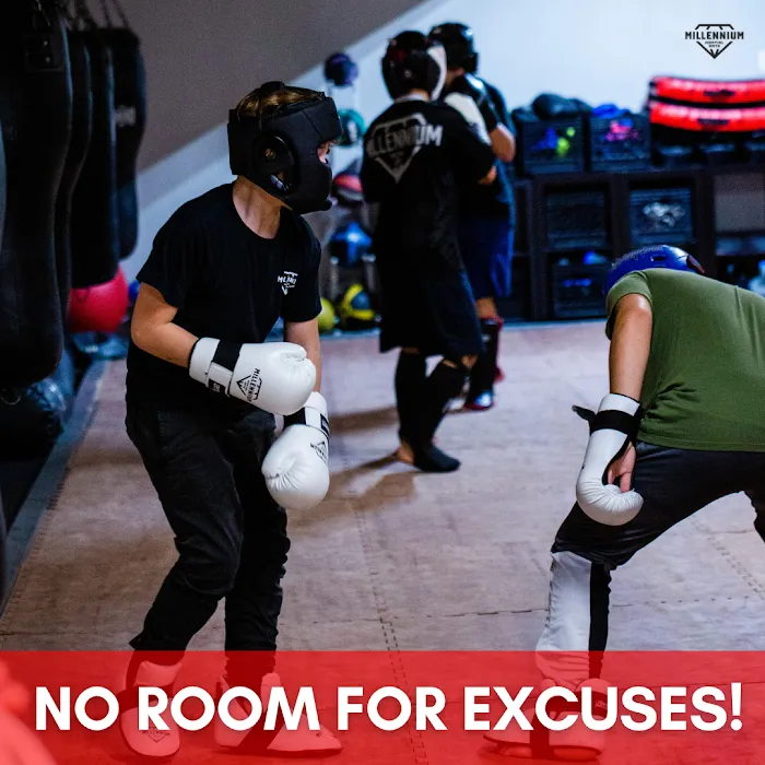 Millennium Martial Arts Academy Picture 5