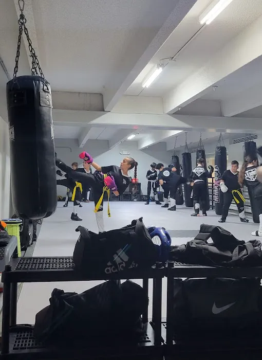 Millennium Martial Arts Academy Picture 7