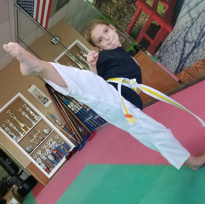 Zanchin Dojo Karate-Do Picture 3