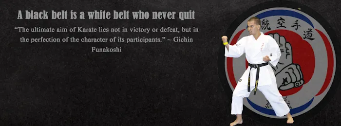 Zanchin Dojo Karate-Do Picture 7