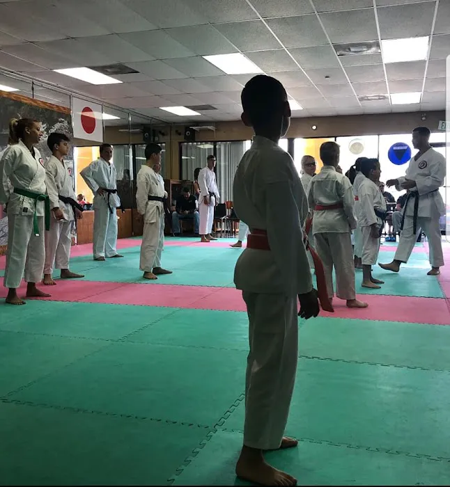 Zanchin Dojo Karate-Do Picture 9