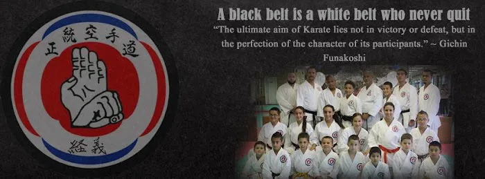 Zanchin Dojo Karate-Do Picture 8