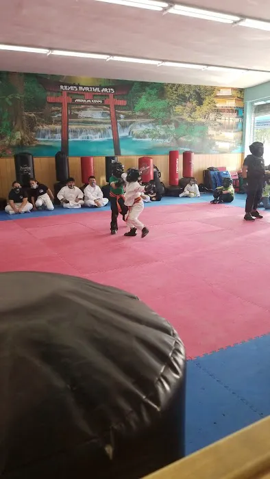 Reyes Martial Arts Picture 3