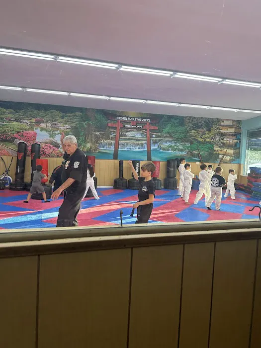 Reyes Martial Arts Picture 1