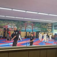 Reyes Martial Arts ico
