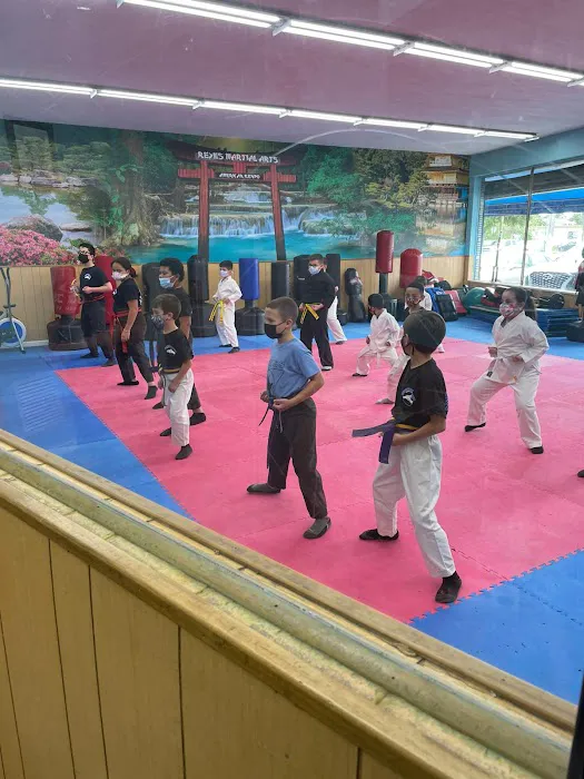 Reyes Martial Arts Picture 2