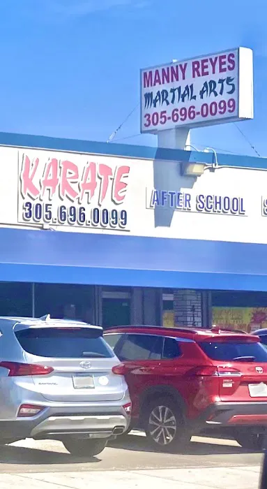 Reyes Martial Arts Picture 7