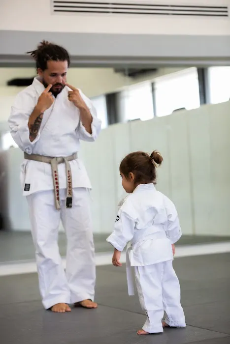 Millennium Martial Arts Academy II Picture 4