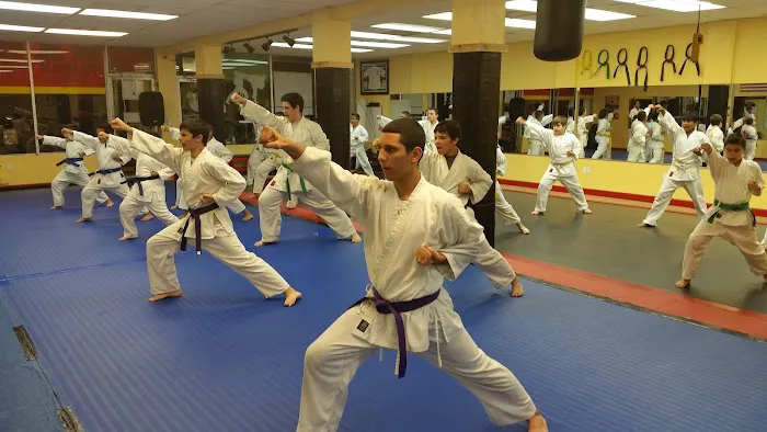 Millennium Martial Arts Academy II Picture 8
