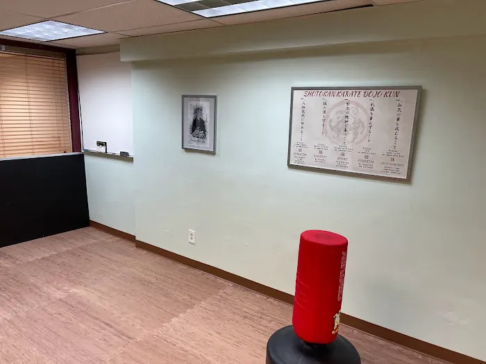 Miami Beach Karate Kids Picture 4