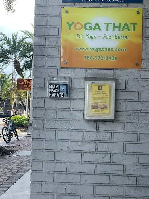 Miami Beach Karate Kids Picture 2