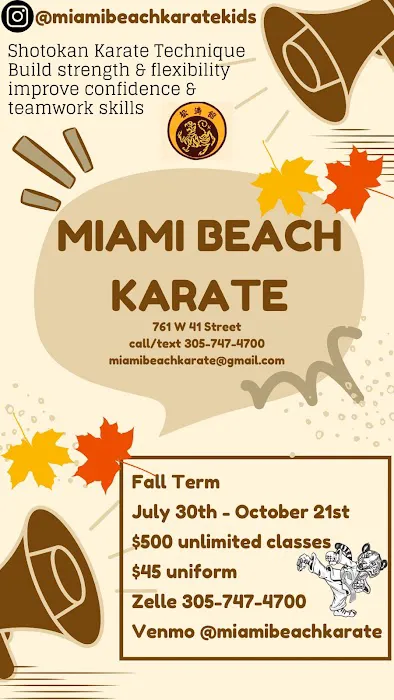 Miami Beach Karate Kids Picture 7