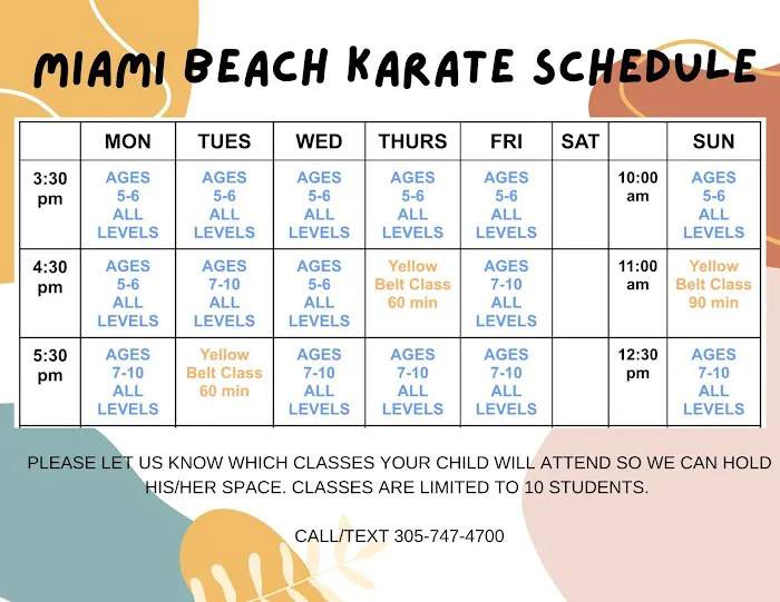 Miami Beach Karate Kids Picture 8