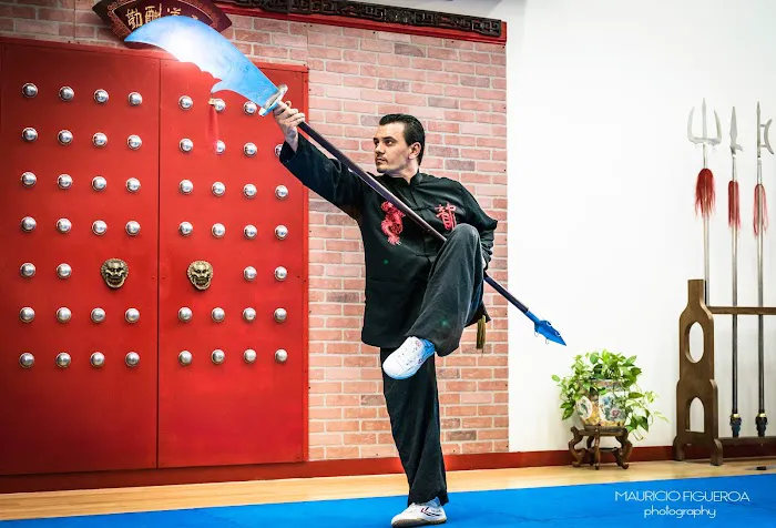 FL Wushu Kung-Fu Picture 4