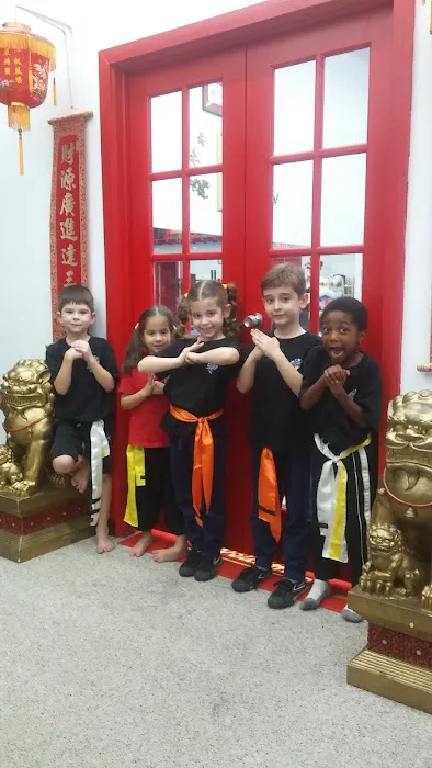 FL Wushu Kung-Fu Picture 3