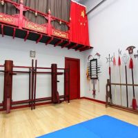 FL Wushu Kung-Fu ico