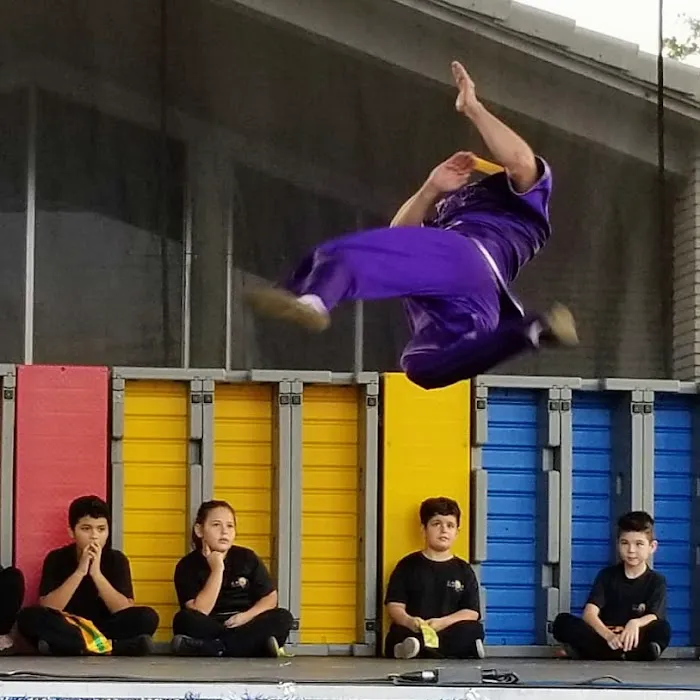 FL Wushu Kung-Fu Picture 10