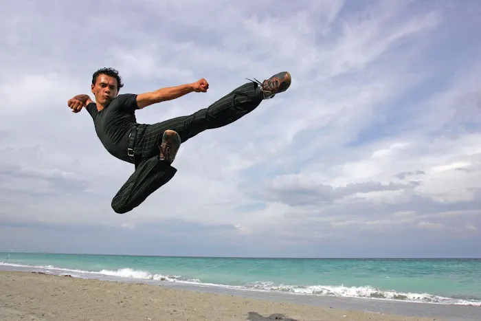 FL Wushu Kung-Fu Picture 5