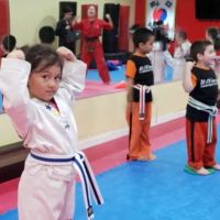 Champions Martial Arts FL1 ico