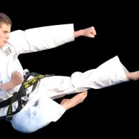 Oh's Tae Kwon DO Center ico