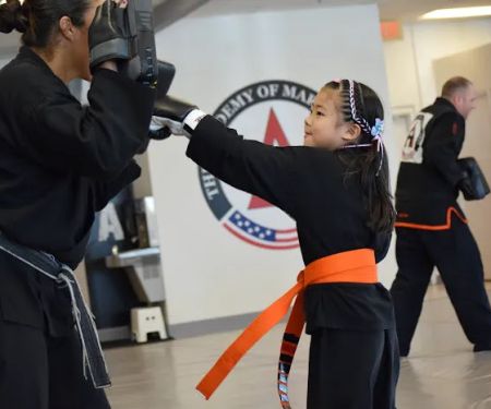 The Academy of Martial Arts