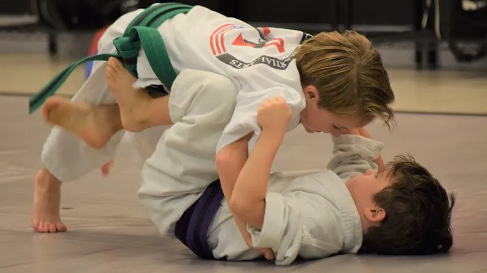 The Academy of Martial Arts Picture 3