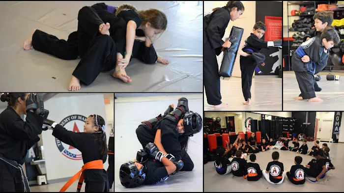 The Academy of Martial Arts Picture 4