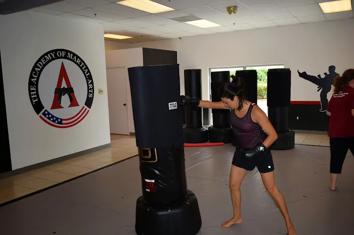 The Academy of Martial Arts Picture 6