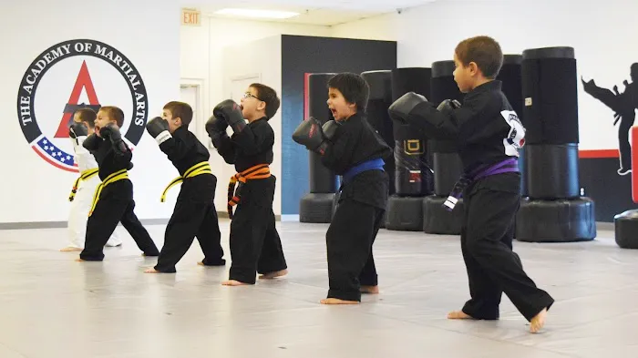 The Academy of Martial Arts Picture 5