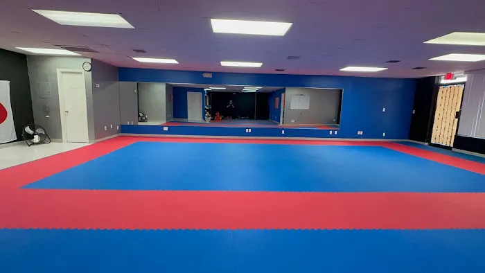 KODOKAI USA KARATE Picture 3