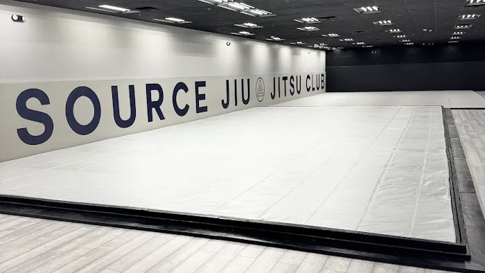 Source Jiu Jitsu Club Picture 4