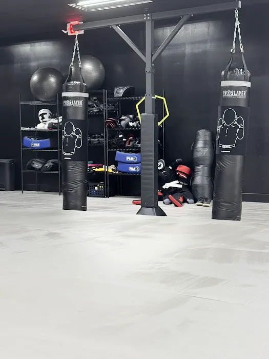 Source Jiu Jitsu Club Picture 7