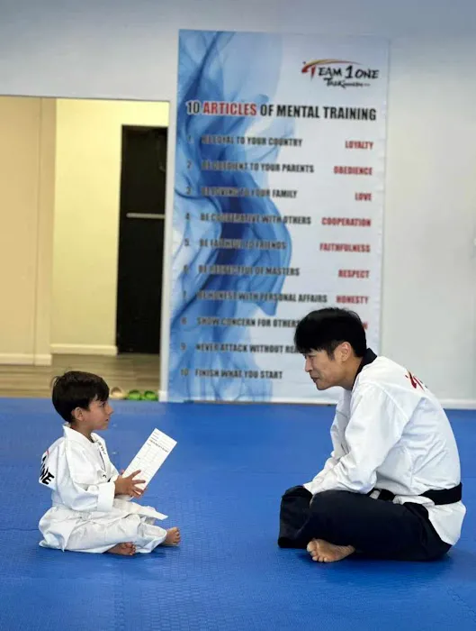 Team One Taekwondo Picture 7