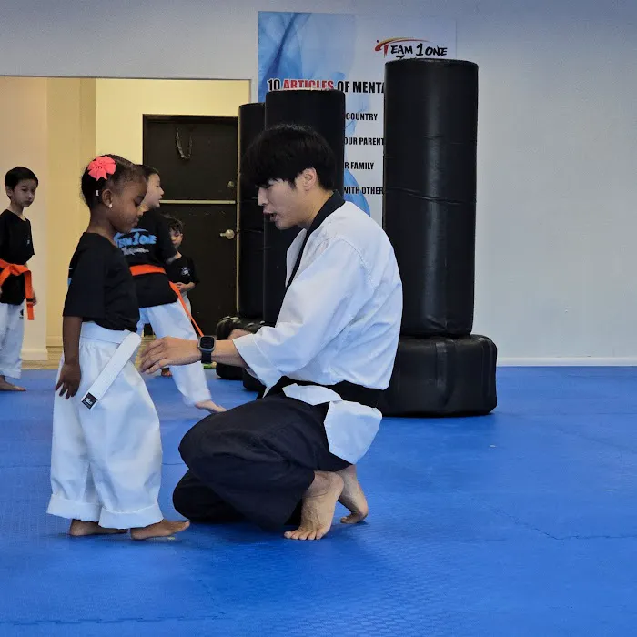 Team One Taekwondo Picture 9