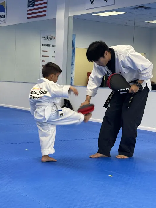 Team One Taekwondo Picture 5