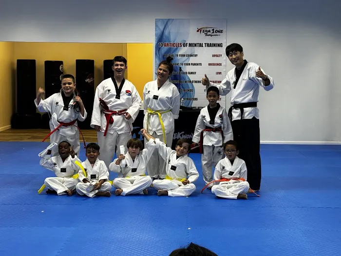 Team One Taekwondo Picture 10