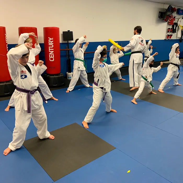 Kick Zone Martial Arts Picture 6