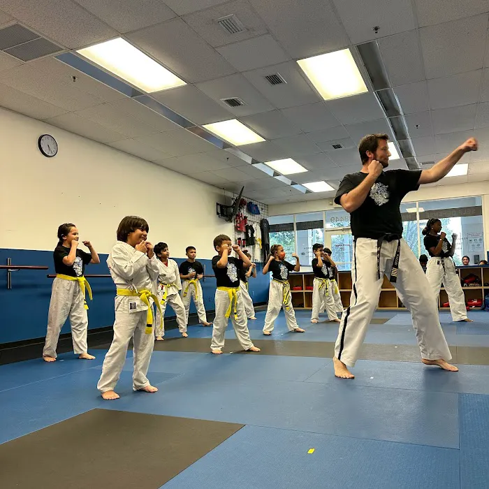 Kick Zone Martial Arts Picture 5