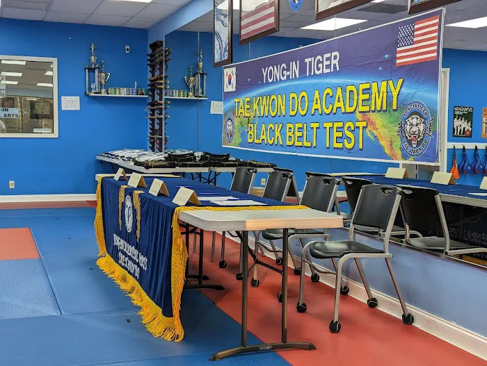 YONG IN TIGER TAEKWONDO Picture 7