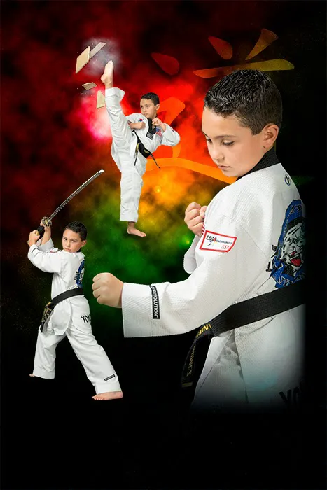 YONG IN TIGER TAEKWONDO Picture 8