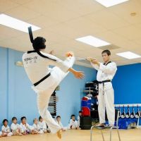 YONG IN TIGER TAEKWONDO ico