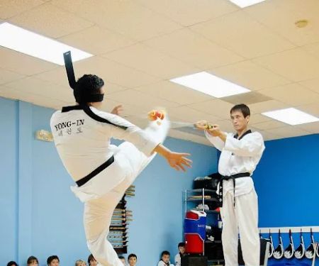 YONG IN TIGER TAEKWONDO