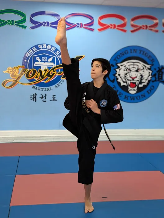 YONG IN TIGER TAEKWONDO Picture 2