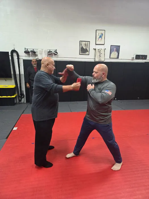 Atemi Ryu Ju-Jitsu Picture 2