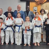 Atemi Ryu Ju-Jitsu ico