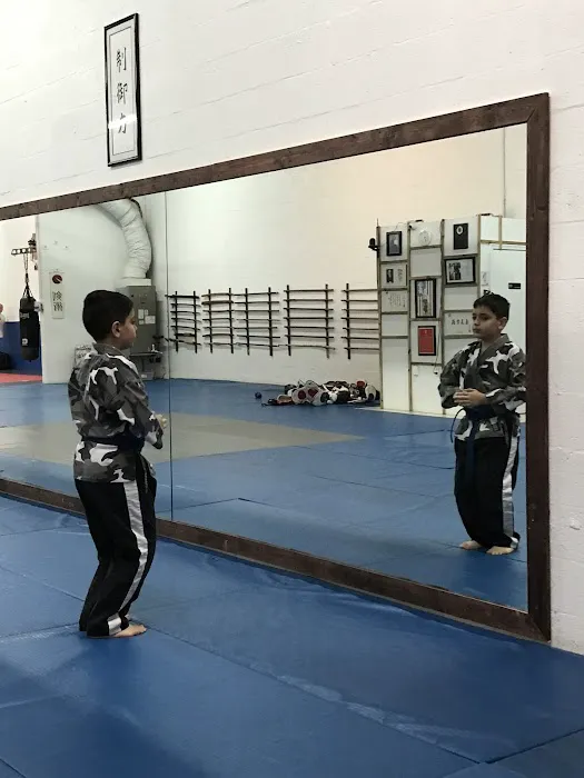 Atemi Ryu Ju-Jitsu Picture 6