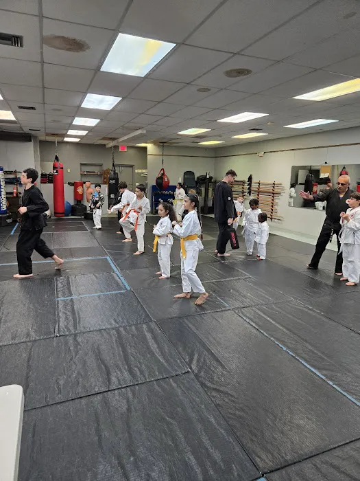 Atemi Ryu Ju-Jitsu Picture 9