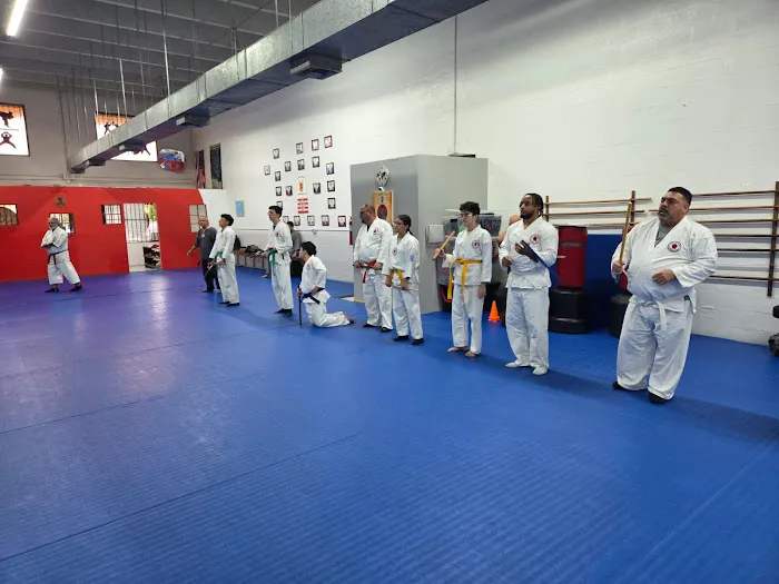 Atemi Ryu Ju-Jitsu Picture 4