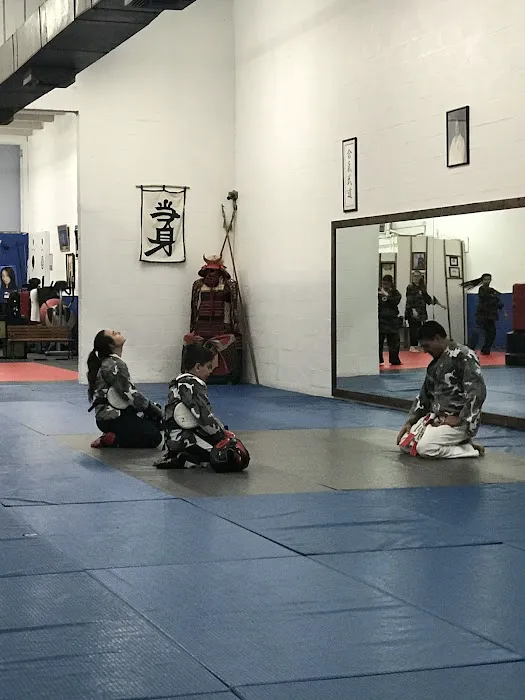 Atemi Ryu Ju-Jitsu Picture 10